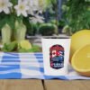 Canada Cuba Vintage Car Shot Glass – Retro Travel Flag Design